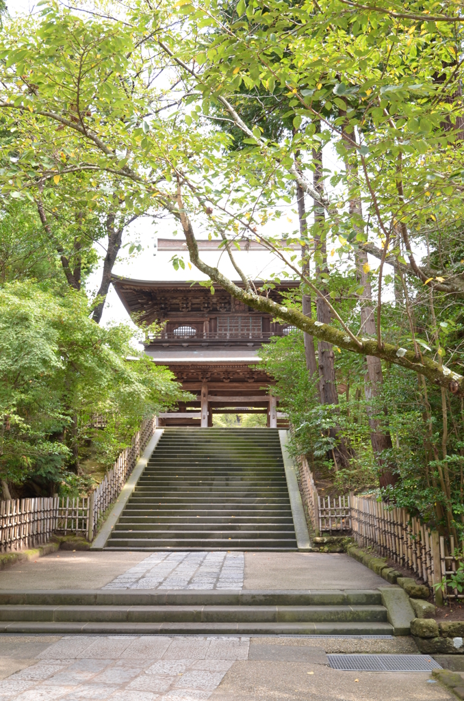 紅葉を待つ鎌倉