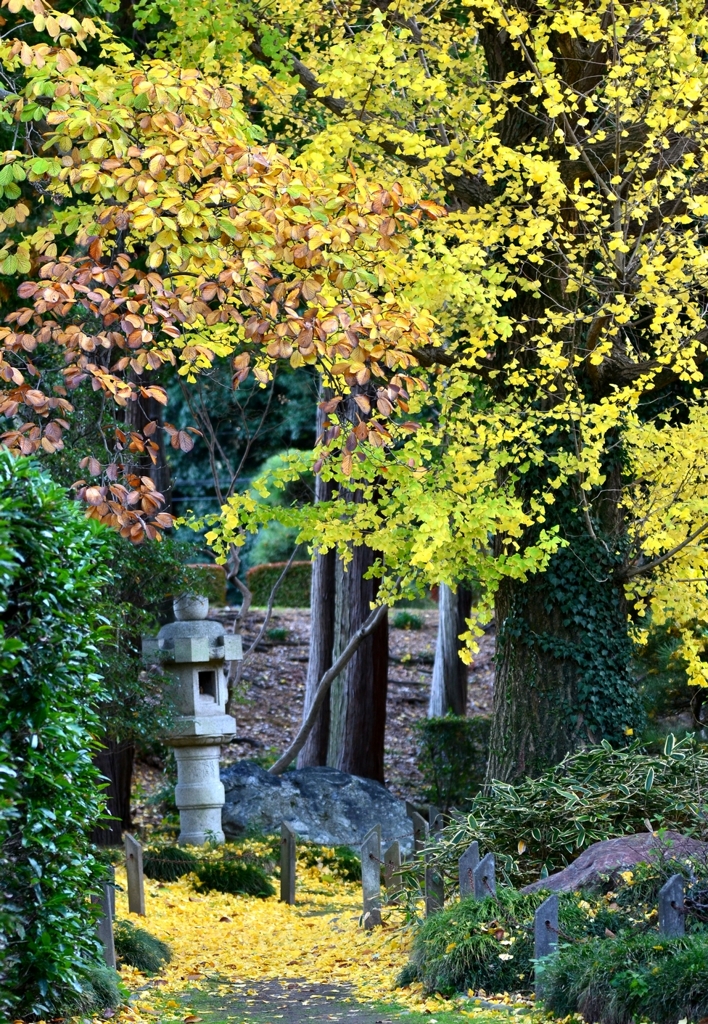 ばんな寺-4