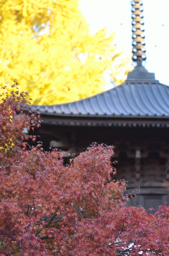 ばんな寺-8