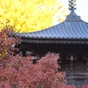 ばんな寺-8