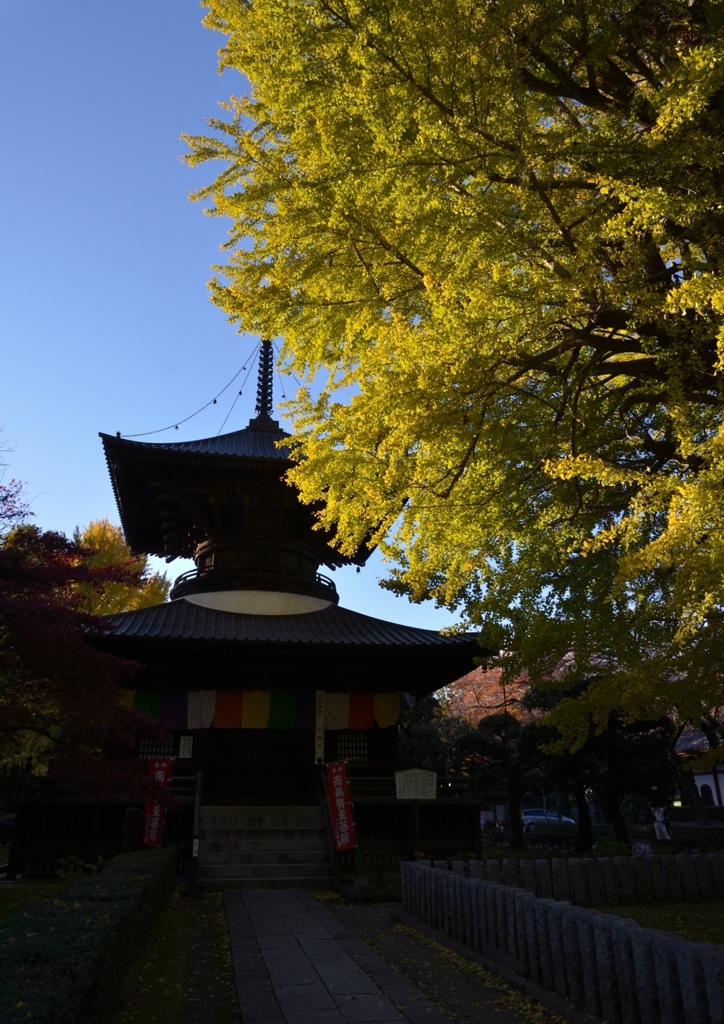 ばんな寺-1