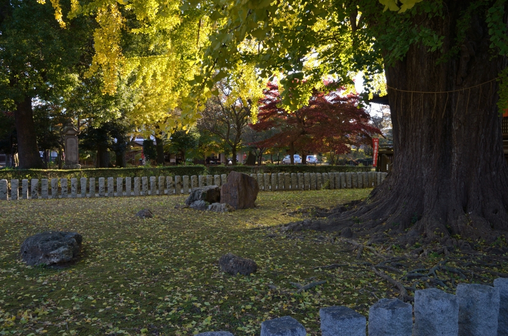 ばんな寺-2