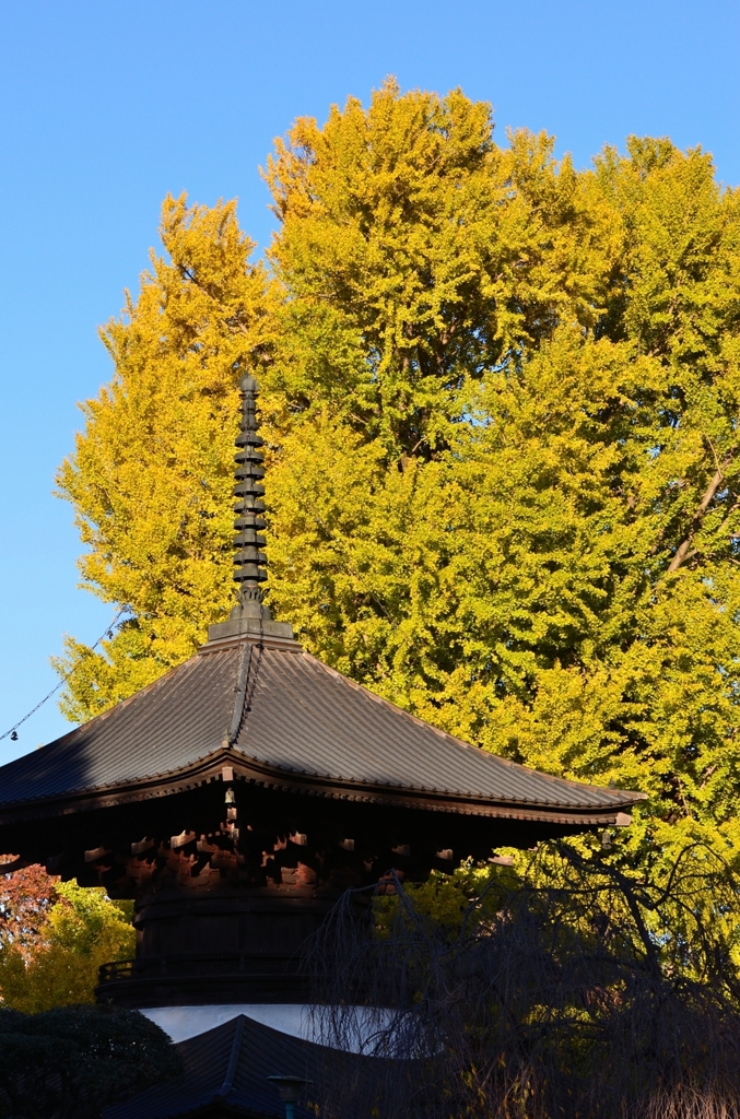 ばんな寺-3