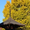 ばんな寺-3
