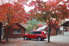 紅葉と愛車