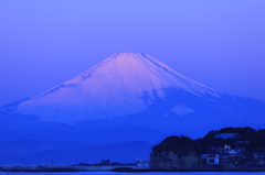 蒼富士