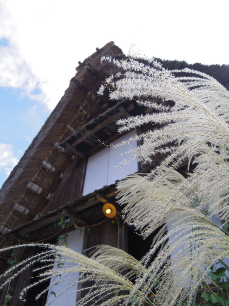 秋の白川郷