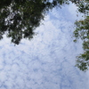秋空