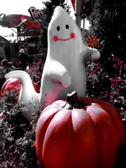 Happy HalloWeen☆