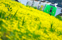 夏の鉄道風景 XII