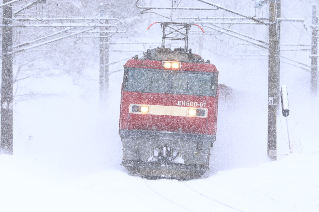 雪降る・・・ I