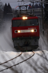 Snowfield Train XIV