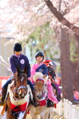 桜流鏑馬 I