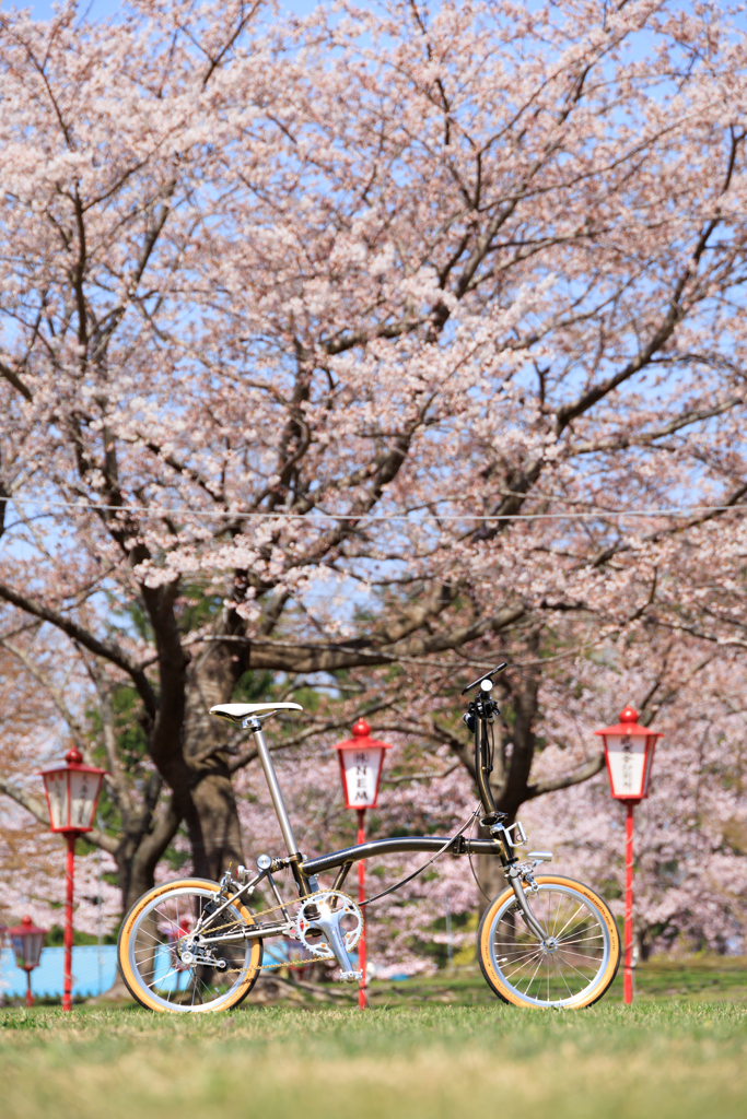 愛宕公園の春 04