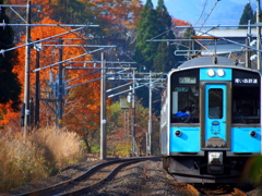 色彩電車 VI 色彩電車 VI