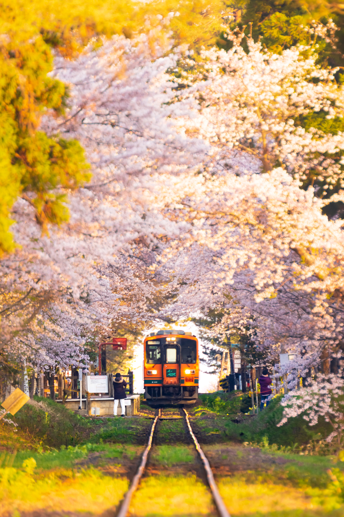 煌めく朝