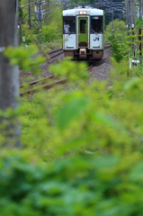 Spring Train XVIII