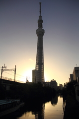 夜明けのスカイツリー
