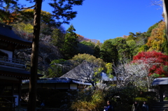 浄智寺の秋 03 浄智寺の秋 03