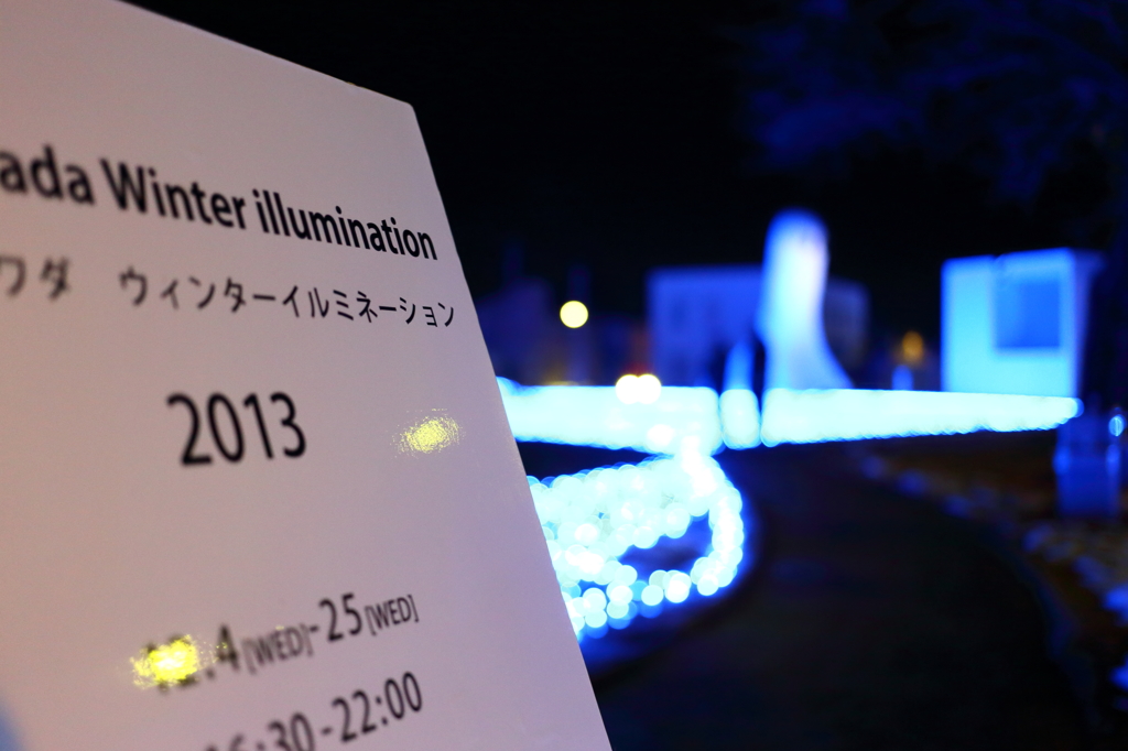 Towada winter illumination I