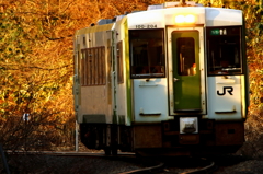 朝日を浴びて VI