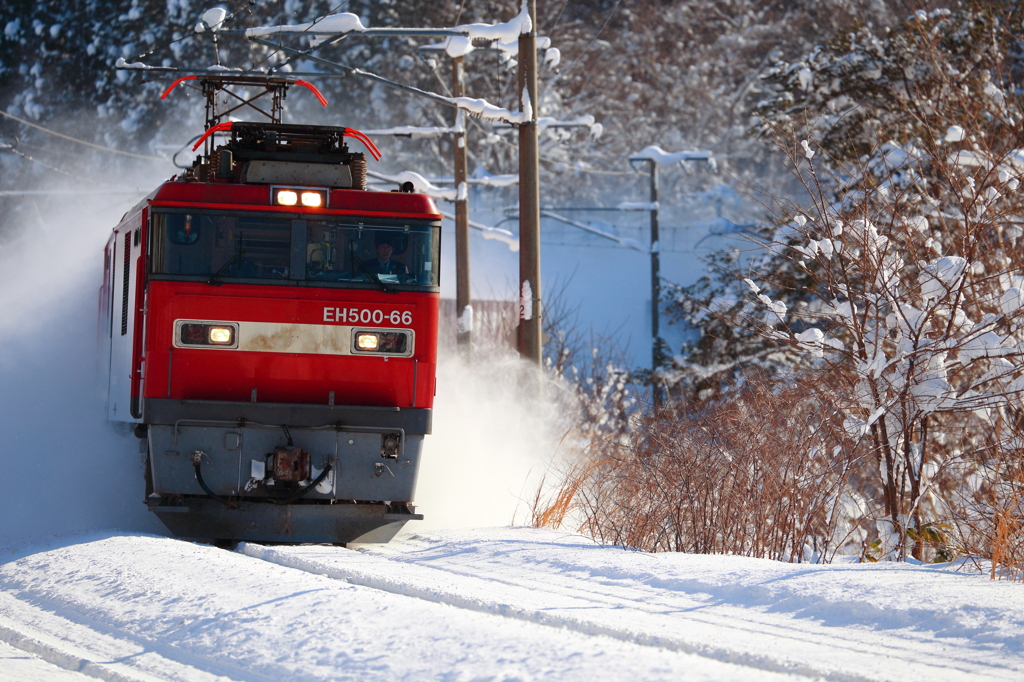 Snowfield Train XVI