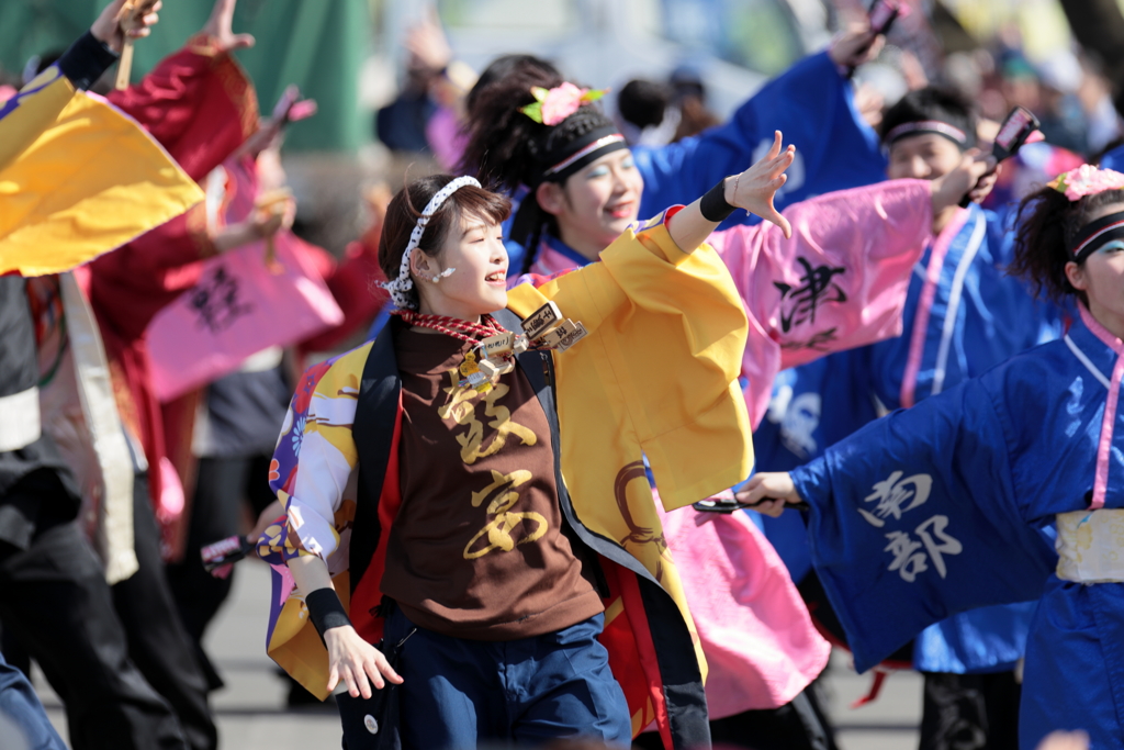 よさこい元気祭り 2019 I