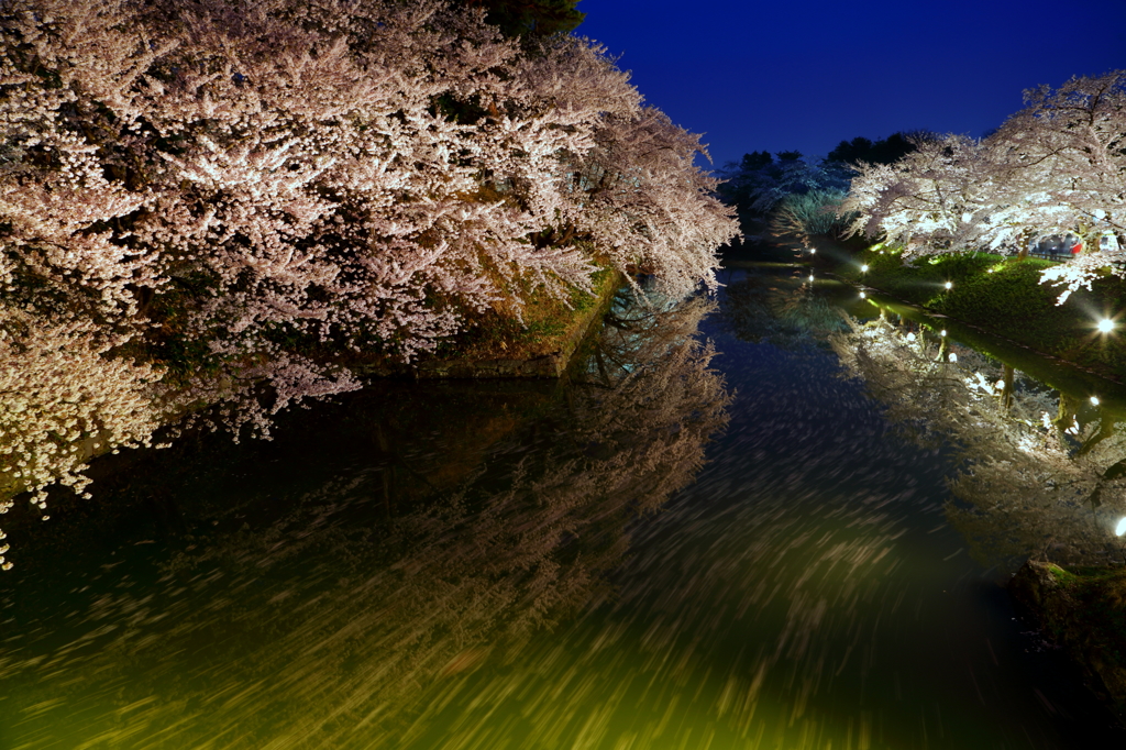 弘前・桜2015 VI