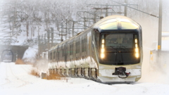 TRAIN SUITE 四季島 VI