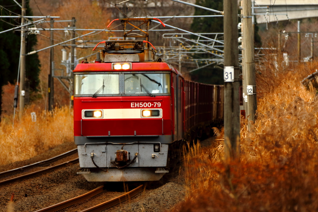 晩秋のみちのく路 IV