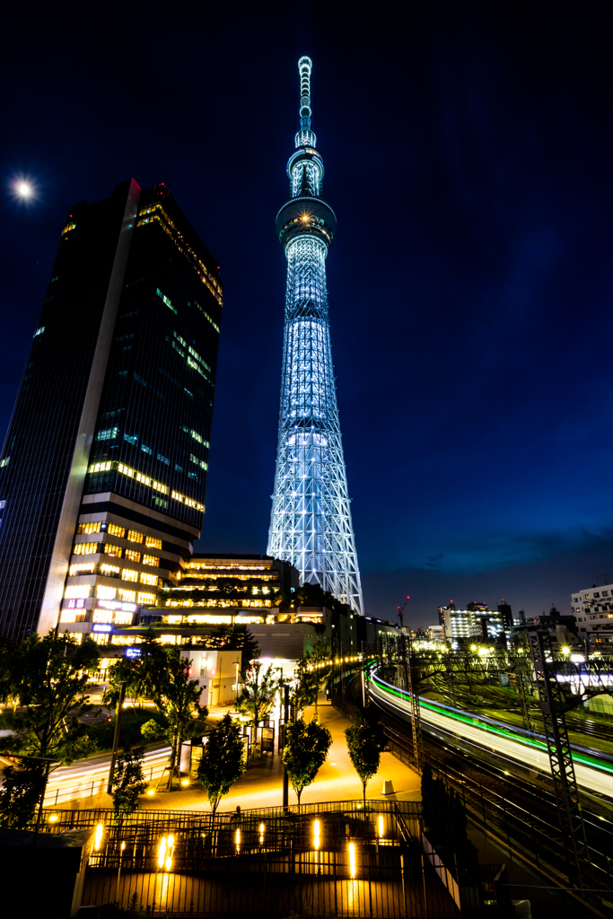 これは・・・
