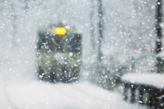 ぼた雪