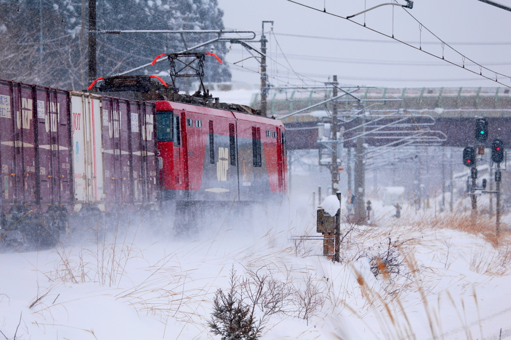 Snowfield Train XXIII