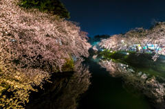 弘前公園・杉の大橋から 弘前公園・杉の大橋から