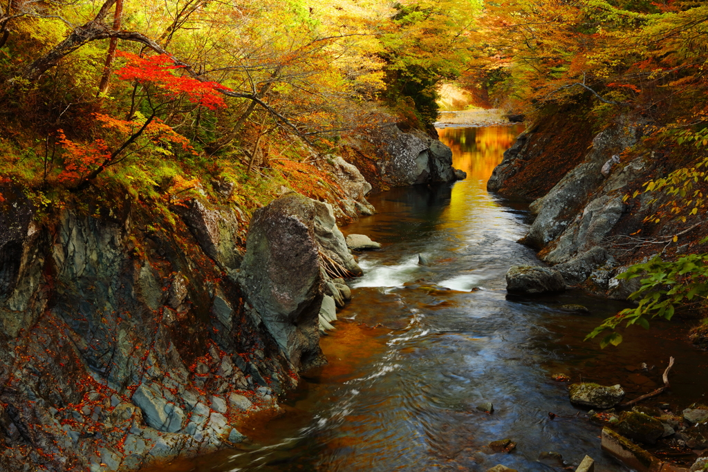 初秋の薬研渓流 Ii By Taka1451 Id 写真共有サイト Photohito