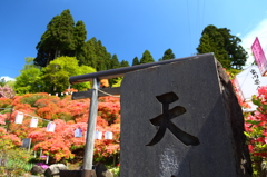 天王神社のつつじまつり