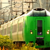 斜陽の・・・II