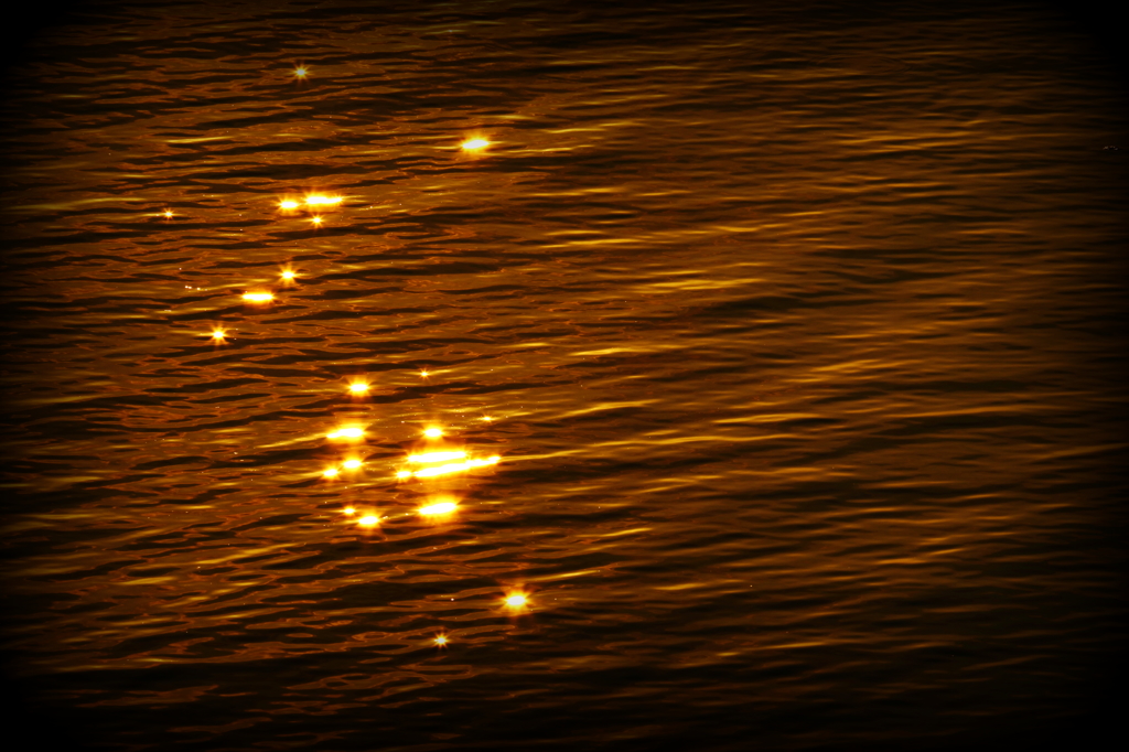 海に落ちた星