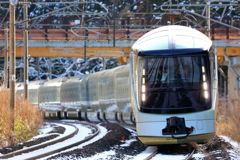 TRAIN SUITE 四季島 IV