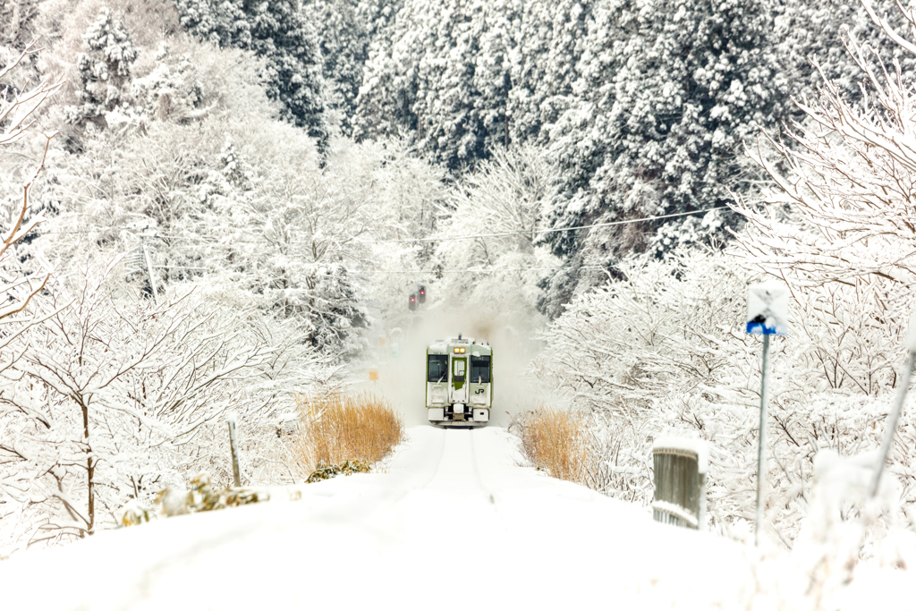 ３月の雪化粧