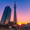 沈む夕陽