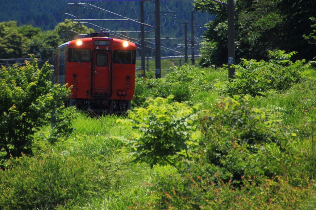 初夏のみちのく路