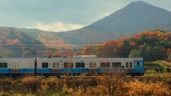 色彩電車 X