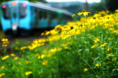 花畑列車 I