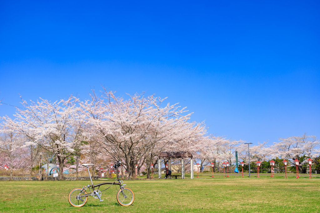 愛宕公園の春 01
