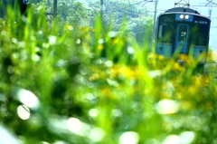 朝露の青鉄 I