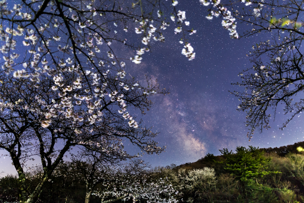 花咲く天の川