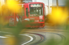 花電
