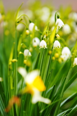 津鉄の春 番外編 I