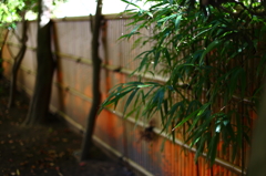 浄智寺の秋 02 浄智寺の秋 02